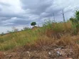 1 Plot of Land for Sale at Amrahia - 4