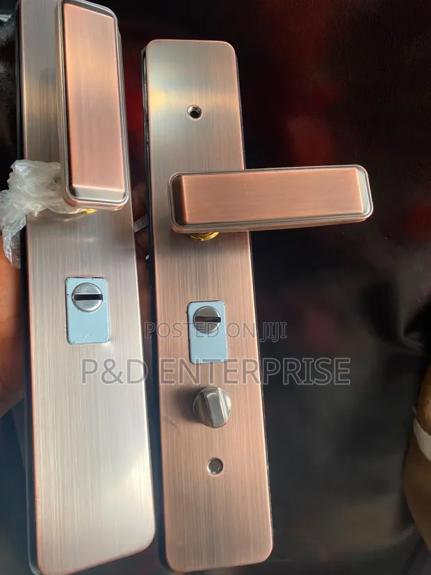 Quality Beige Door Handles for China Doors - 1