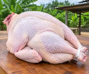 Fresh Organic Turkey Meat - Dressed