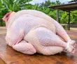 Fresh Organic Turkey Meat - Dressed - 1