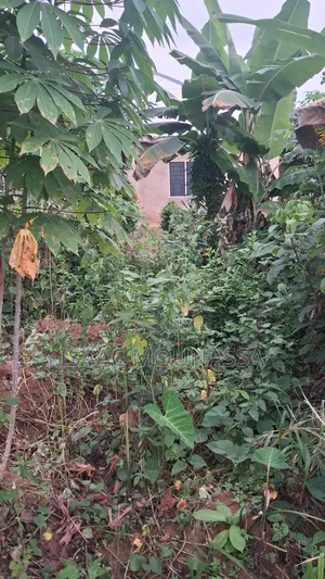 Half Plot of Land at Oyoko