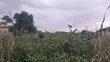 Half Plot of Land at Oyoko - 2
