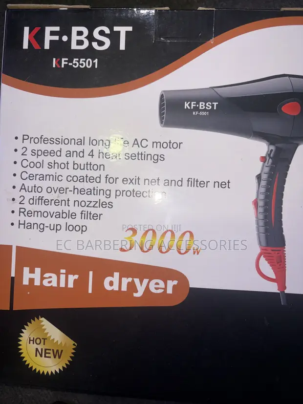 Professional Hair Dryer - 1