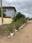 2 Acres Residential Land for Sale in Weija - 2