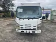 Isuzu Freezer Truck 2010 - 5