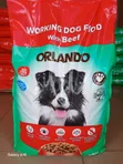 Orlando Working Dog Food with Chicken - 1