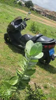Yamaha Majesty Scooter - Black - 1
