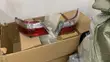 Toyota Corolla and Camry Lights - 2