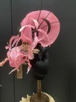 Women's Fascinator - XL - 2