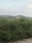Roadside Plots for Sale at Hobor - 1