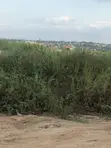 Roadside Land for Sale at Agbazo - 2