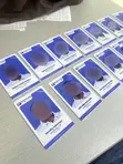 ID Card Printing Services - 3