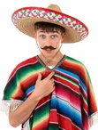 Mexican Serape Poncho Costume - 5