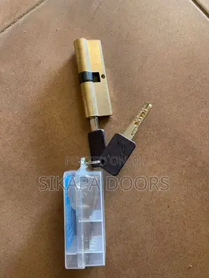 Brand New Door Cylinder and Keys