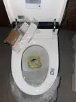Smart Intelligent Toilet - 1