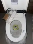 Smart Intelligent Toilet - 4