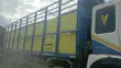 MAN TGS Cargo Truck - 5
