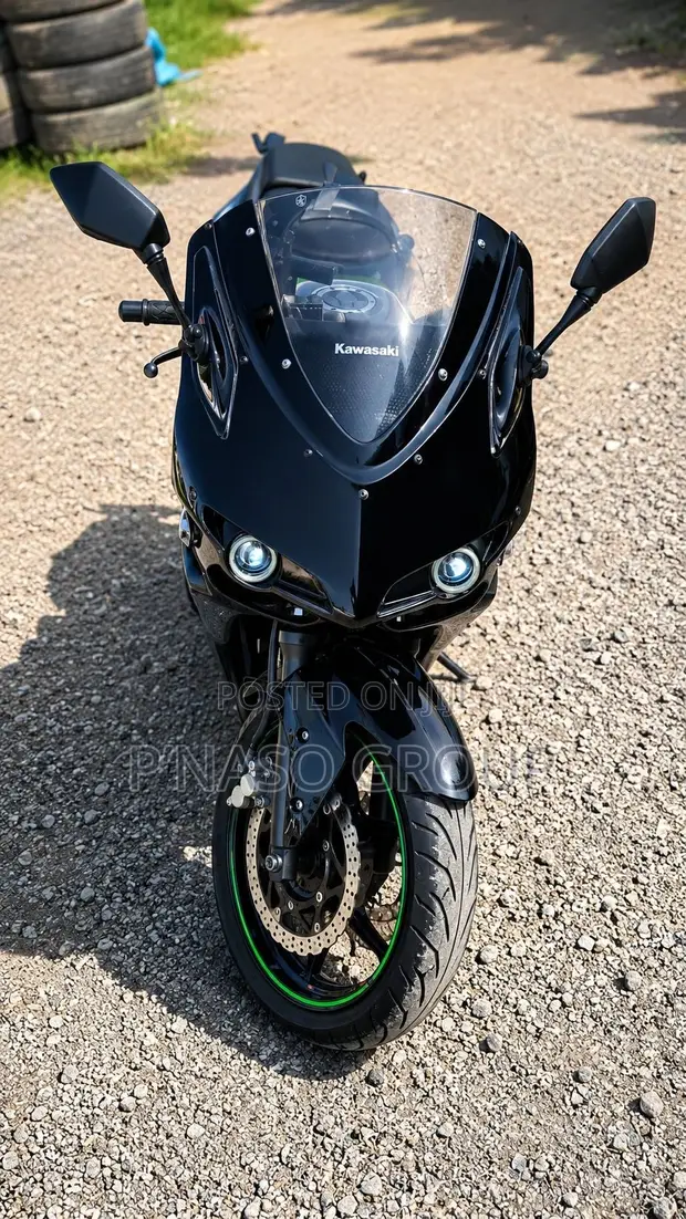 Kawasaki Ninja 300 2014 Black - 1