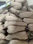 Yam Tubers - 3