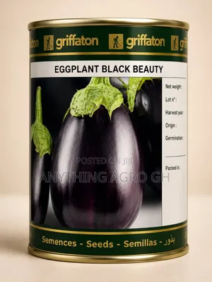 Eggplant Black Beauty Seeds