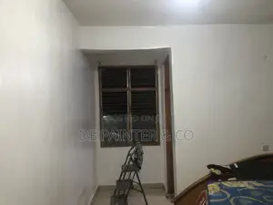 Professional Painting Services - Affordable & Reliable