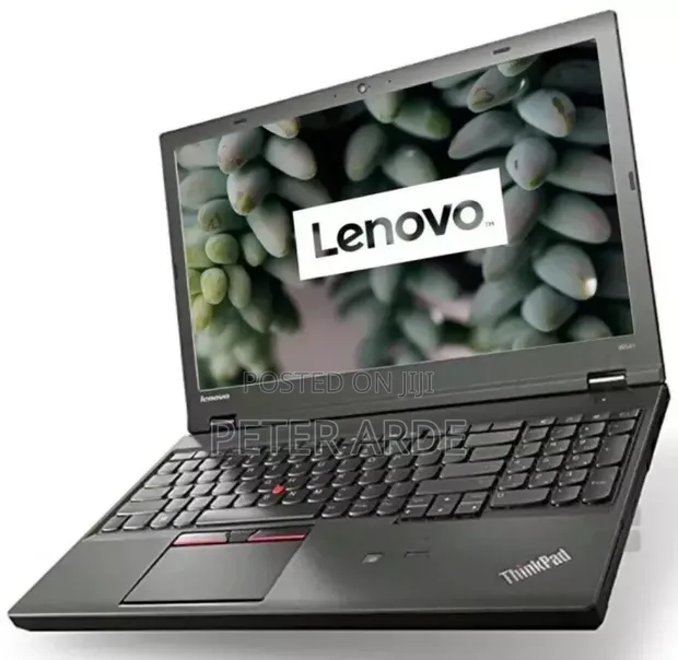 Lenovo ThinkPad W541 Laptop - Intel Core i7, 32GB RAM, 512GB SSD - 1