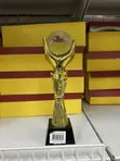 Awards Plaque - Brand New - 2