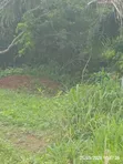 Land for Filling Station or Block Factory - 5