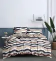 Beige and Blue Queen Size Duvet Set - 1