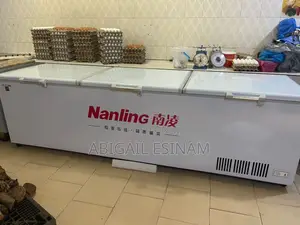 Nanling Commercial Chest Freezer 1600L