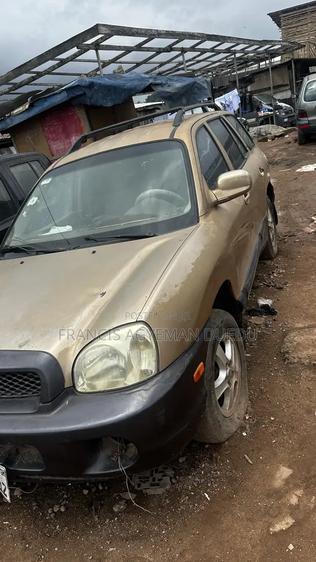 Hyundai Santa Fe 3.5 SUV 2003 Gold - 1