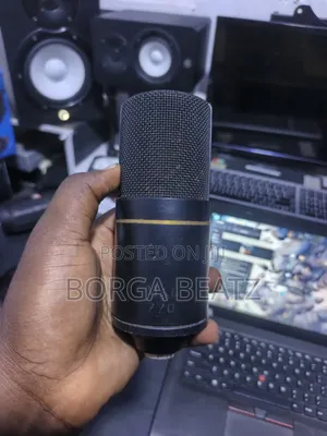 MXL 770 Condenser Microphone