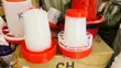 6 Litre Hanging Chicken Drinker - 3