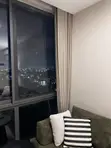 Premium Blinds for Home & Office - 2