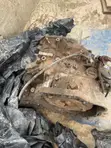 Toyota Corolla 110 Gearbox - 2