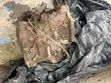 Toyota Corolla 110 Gearbox - 3