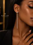 Silver Sleek Drop Earrings - 2