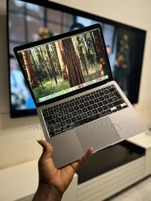 Apple MacBook Air 2020 16GB RAM 512GB SSD Intel i7