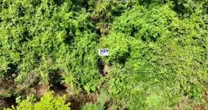 Acres of Land for Sale in Mampong Larteh
