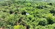 Acres of Land for Sale in Mampong Larteh - 2