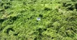 Acres of Land for Sale in Mampong Larteh - 4