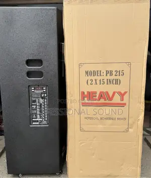 Heavy-Duty Professional Rechargeable Dual 15-Inch Speaker