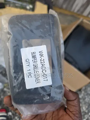 Honda Accord Radar Cover (2018-2022)