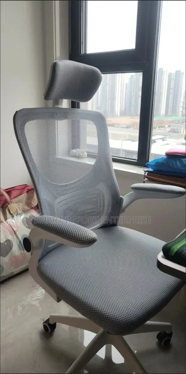Adjustable Office Chair - 1
