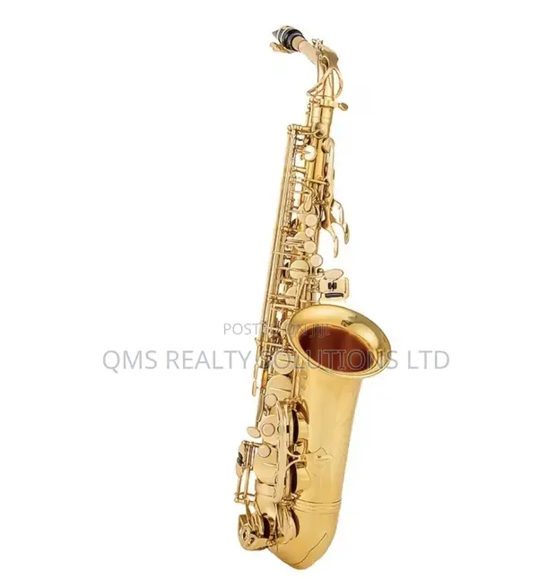 Professional E-Flat Alto Saxophone Set with Cordless Microphone - 1