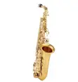 Professional E-Flat Alto Saxophone Set with Cordless Microphone - 1