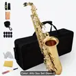 Professional E-Flat Alto Saxophone Set with Cordless Microphone - 2