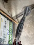 Original Top Gutter for Honda Cars - 2
