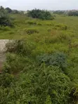Land for Sale - Achiaman Estate, 70x100 Ft Plot - 1