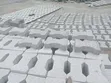 Interlock Laying Services - 2